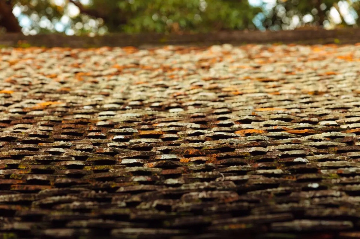 Aging shingle roof with moss growth and granule loss in The Villages, FL